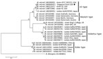 Thumbnail of Molecular phylogeny of Babesia microti types based on the internal transcribed spacer region. Analysis inferred by maximum likelihood using the general time reversible plus gamma model showing sequence MK609547 from a human patient in Singapore, 2018 (black diamond) and 22 sequences of B. microti isolates from diverse geographic areas, retrieved from GenBank (accession numbers provided). Bootstrap values were 10,000 replicates, &gt;85% shown. Scale bar indicates nucleotide substitut