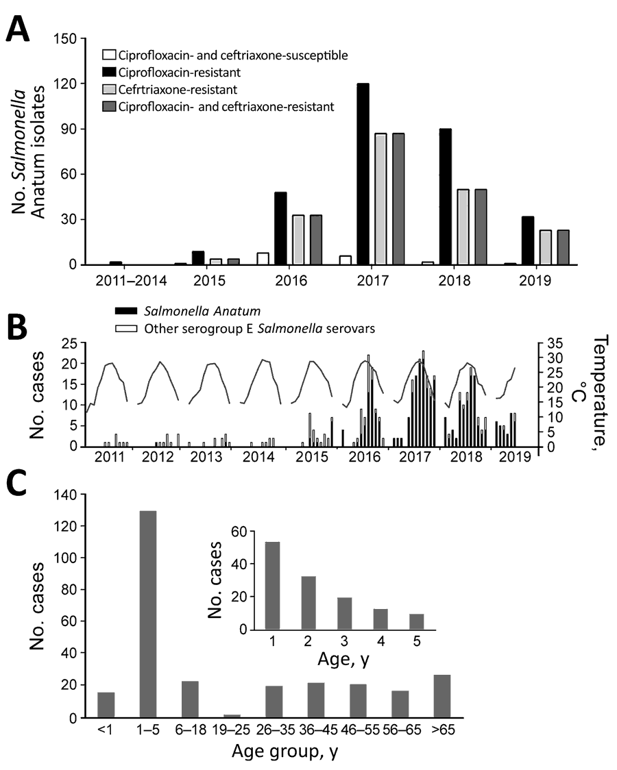 Salmonella enterica serotype Anatum infection and antimicrobial resistance, Taiwan. A) Antimicrobial resistance of the Salmonella Anatum isolates collected in Chang Gung Memorial Hospital. B) Monthly case number (bar plot) and temperature (line). C) Age distribution of patients diagnosed during 2015–2018.