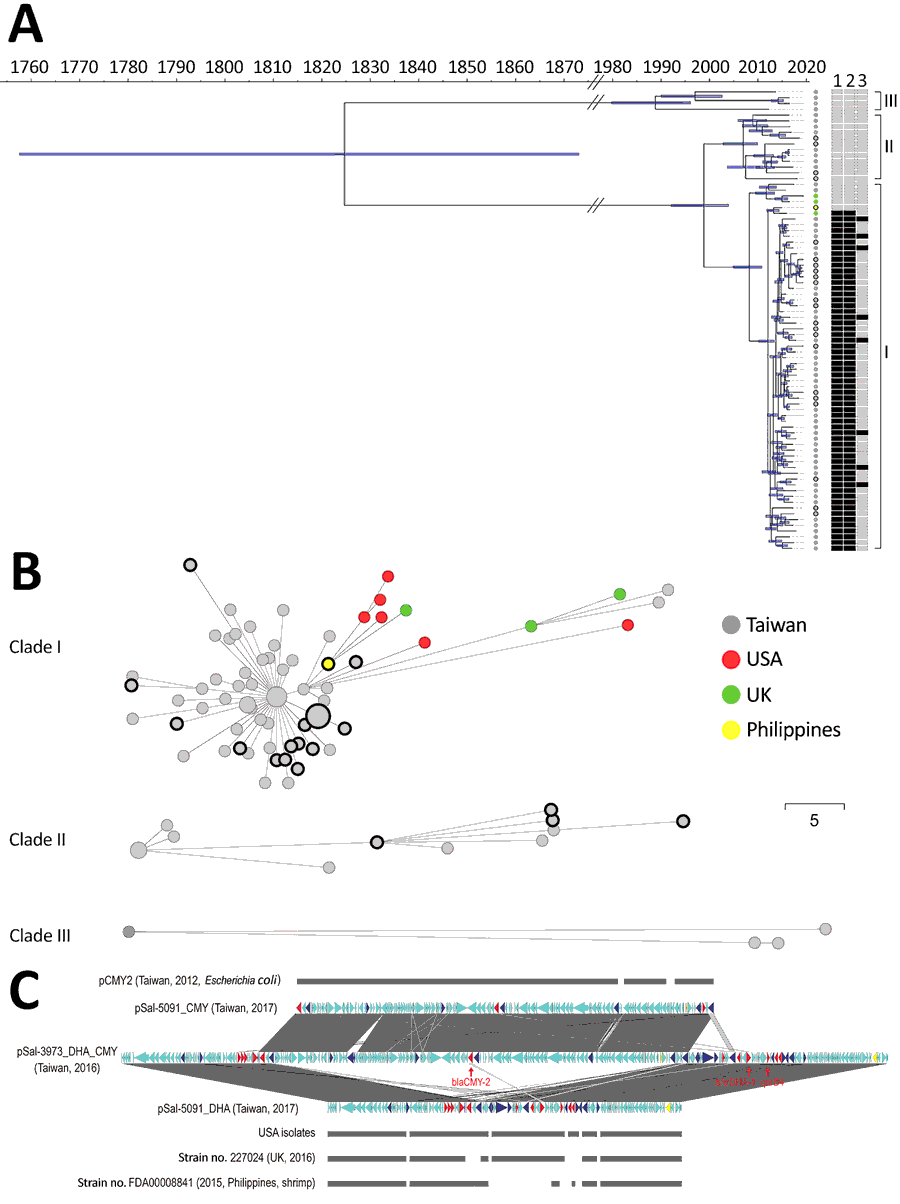 Genomic analysis of the outbreak caused by Salmonella enterica serotype Anatum, Taiwan. A) Dated phylogeny for Salmonella Anatum clinical isolates and food and environmental isolates. All isolates were divided into 3 clades, shown at right. The nodes’ colors represent the geo source; nodes with black rings were from meat or the environment, and the remainder were derived from the patients. The right heatmap represents the presence (in black) or absence (in gray) of key antimicrobial-resistance genes (1, blaDHA-1; 2, qnrB4; 3, blaCMY-2). B) Minimal spanning tree based on alleles identified through core genome multilocus sequence typing. Dots with black circles represent food isolates; the others are clinical isolates. The collection date for the 6 US isolates in panel B was missing in GenBank and therefore not included in panel A. Scale bar indicates 5 single nucleotide polymorphisms. C) Gene structure of multidrug-resistant plasmids in Salmonella Anatum in Taiwan compared with international isolates. Two types of plasmids were identified in the clade I Salmonella Anatum isolates in Taiwan. One carried blaCMY-2, with its structure being shown by pSal-5091_CMY. A similar plasmid, pCMY2 (GenBank accession no. LC019731.1), is shown. The other carried blaDHA-1; its structure is shown by pSal-5091_DHA. International isolates shown in the figure, whose genomes also were downloaded from GenBank (Appendix), possess very similar plasmids. In certain isolates, the 2 plasmids can integrate into 1 large plasmid, with its structure shown by pSal-3973_DHA_CMY. Red genes represent antimicrobial-resistance genes; blue genes represent transposase/integrase genes; and yellow genes represent Inc-determinant genes.