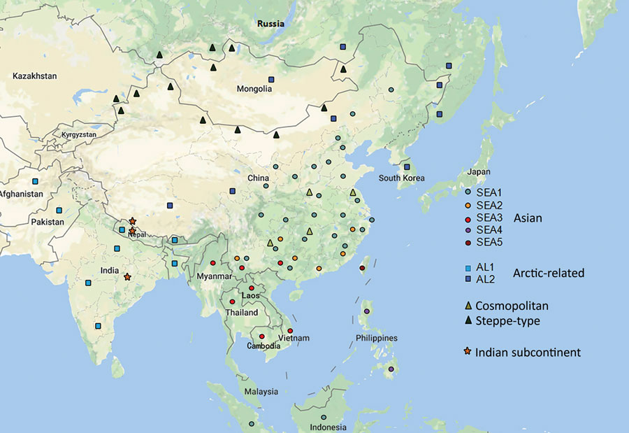 Geographic distribution of rabies virus clades and subclades in China and neighboring countries. The sequence information is from this study and GenBank (Appendix Table 3). SEA, Southeast Asia.