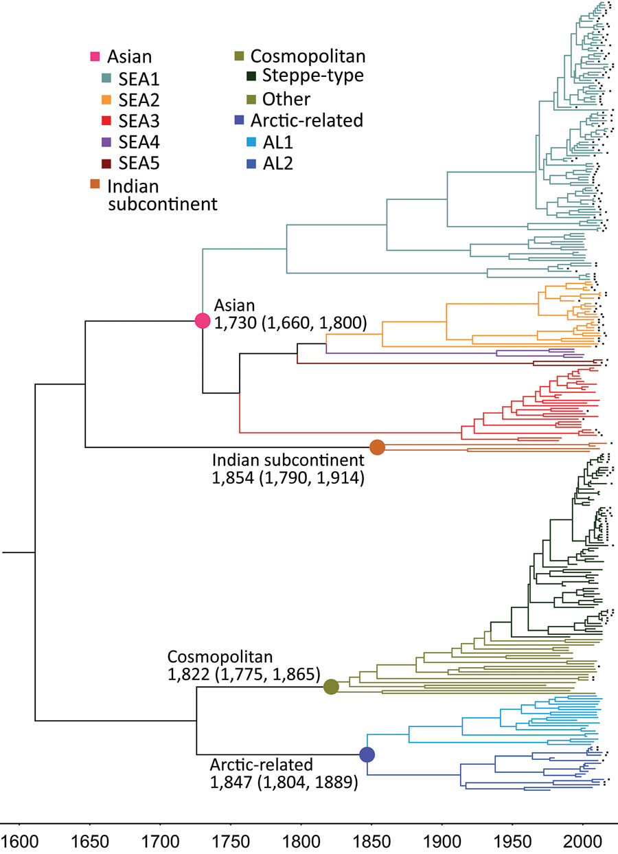 Nucleoprotein gene–based maximum clade credibility tree of rabies viruses. The estimated time to most recent common ancestor of these clades and their 95% highest posterior density values are indicated. The same sequences as in Figure 1 were used, except for those of 5 vaccine strains listed at end of Appendix Table 3. Black solid squares indicate strains from China. SEA, Southeast Asia.