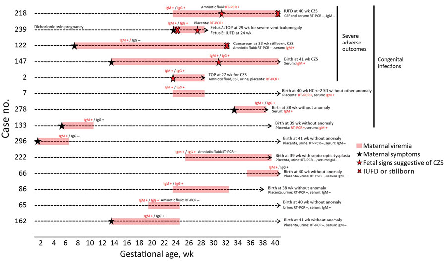 Pregnancy outcomes of patients with prolonged viremia in a cohort study of pregnant women admitted to Centre Hospitalier de l’Ouest Guyanais, French Guiana, January 1–July 15, 2016. Description and outcomes of 14 pregnancies with prolonged maternal ZIKV viremia (including 1 with dichorionic twin pregnancy). Congenital ZIKV infection was confirmed in 9/15 (60%) fetuses, and 6/15 (40%) fetuses had adverse outcomes. Four of them had multiple abnormalities consistent with CZS (1 live birth, 1 TOP, 1 IUFD, and 1 stillbirth). The 2 fetuses from the dichorionic twin pregnancy also had adverse outcomes, with an IUFD at 24 wk and a TOP for severe ventriculomegaly in the other fetus at 29 wk. CSF, cerebrospinal fluid; CZS, congenital Zika syndrome; HC, head circumference; IUFD, intrauterine fetal demise; RT-PCR, reverse transcription PCR; TOP, termination of pregnancy; ZIKV, Zika virus.