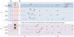 Thumbnail of Chronology of a 2-family cluster of severe acute respiratory syndrome coronavirus 2 infection, including travel and contact history, in familial and hospital settings, Xuzhou, China, January 13–February 17, 2020. Dates of case confirmation, hospitalization, and discharge are labeled. Real-time fluorescent reverse transcription PCR for severe acute respiratory syndrome coronavirus 2 infection and corresponding results are indicated, together with the dates of chest CT. CT, computed t
