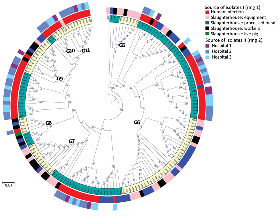 Growth rate of Staphylococcus saprophyticus clonal lineages in tryptic soy broth (TSB) and in different concentrations of female sex hormones. All assays were performed in triplicate and each experiment was repeated 3 times. A) Growth rate of S. saprophyticus strains in different concentrations of progesterone. First panel represents growth rate in TSB at 37°C; isolates belonging to lineage S grew significantly faster (p = 0.0007) than isolates in lineage G in TSB without hormones. However, no statistically significant difference in the growth rate of either lineage was noted in physiologic (2.0–200 ng/mL) and higher concentrations of progesterone. B) Growth rate of S. saprophyticus strains in TSB (first panel) and different concentrations of estradiol. Lineage S isolates grew faster in physiologic concentrations (350 pg/mL–350 ng/mL) and higher of estradiol, suggesting that this lineage is better adapted to the hormone-rich environment of the urine and the vagina than lineage G. Error bars indicate 95% CIs; horizontal lines indicate medians. C) Growth rate mean values of S. saprophyticus strains in progesterone and estradiol. 