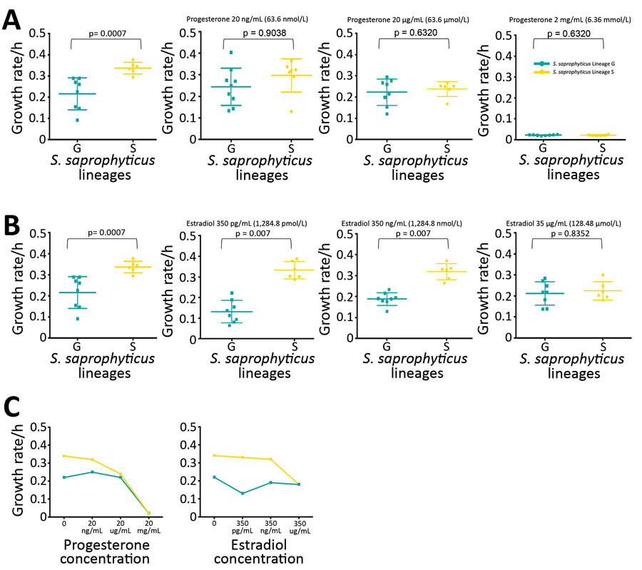 Phylogenomic analysis and distribution of Staphylococcus saprophyticus isolates collected from human infections and a slaughterhouse, Portugal, 2016–2017. A) Maximum-likelihood tree of 232 isolates from human infections or slaughterhouse contamination. The tree was constructed by using 14,110 single-nucleotide polymorphisms (SNPs) without recombination. Each node represents a strain; nodes with identical color belong to the same lineage. The assembled contigs were mapped to the reference genome S. saprophyticus ATCC 15305 (GenBank accession no. AP008934.1; black star). SNPs generated from each genome were concatenated to single alignment corresponding to position of the reference genome. Polymorphic sites resulting from recombination events in the SNP alignments were filtered out by using out by using Gubbins version 2.3.4 (12). Tree was reconstructed by using RAxML version 8.2.4 (https://github.com/stamatak/standard-RAxML). The generalized time-reversible nucleotide substitution model with gamma correction was performed with 100 bootstrap random re-samplings for support. The tree was visualized by using Interactive Tree of Life (iTOL; https://itol.embl.de). The clusters highlighted in cream represent admixture of isolates recovered from different sources that are closely related by SNPs in clusters G5–G11 and S2–S4. The inner ring (ring 1) represents genetic relatedness of isolates recovered from different sites inside the slaughterhouses and those recovered from infection in the community. The center ring (ring 2) identifies the isolates recovered from different hospitals. The outer rings (rings 3–8) represent the distribution of 6 genes that convey antimicrobial resistance. Scale bar indicates nucleotide substitutions per site. B) Source-based distribution of S. saprophyticus isolates in the lineage G and lineage S. Lineage G consisted isolates from infections, colonization, and contamination. Almost all (97%) isolates in lineage S are from human colonization and infection.