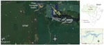 Thumbnail of Study site in which typhus group rickettsiosis was detected in a 37-year-old man, Brazilian Amazon. Red dots indicate sites in STNF in which the patient worked during the day in the 2 weeks before disease onset. During this same period, he spend the night at his house in Porto Trombetas District, where he denied any rat infestation. Insets show location of STNF in Pará state and Brazil. STNF, Saracá-Taquera National Forest.