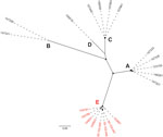 Maximum-likelihood phylogeny showing the genetic diversity of the 20 IEC-harboring ΦSa3int prophages identified in livestock-associated methicillin-resistant Staphylococcus aureus CC398 isolates from North Denmark Region, Denmark. Capital letters indicate phylogenetic clusters (A–E). Red text indicates ΦSa3int prophages harboring both immune evasion cluster and tarP (cluster E). The phylogeny was estimated for 795 high-quality core SNPs. Filled circles at nodes indicate bootstrap values >90%. Scale bar represents number of nucleotide substitutions per variable site.