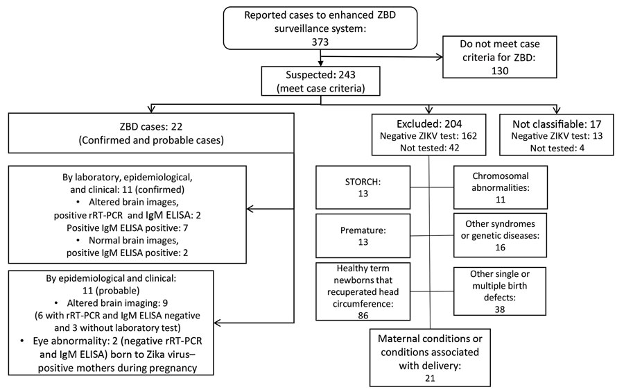 Reported cases and classification of suspected cases of ZBD according to protocol, Costa Rica, March 2016–March 2018. rRT-PCR, real-time reverse transcription PCR; STORCH, syphilis, toxoplasmosis, rubella, cytomegalovirus, and hepatitis B (note that Costa Rica does not include hepatitis B in its standard evaluations); ZBD, Zika virus–associated birth defects.