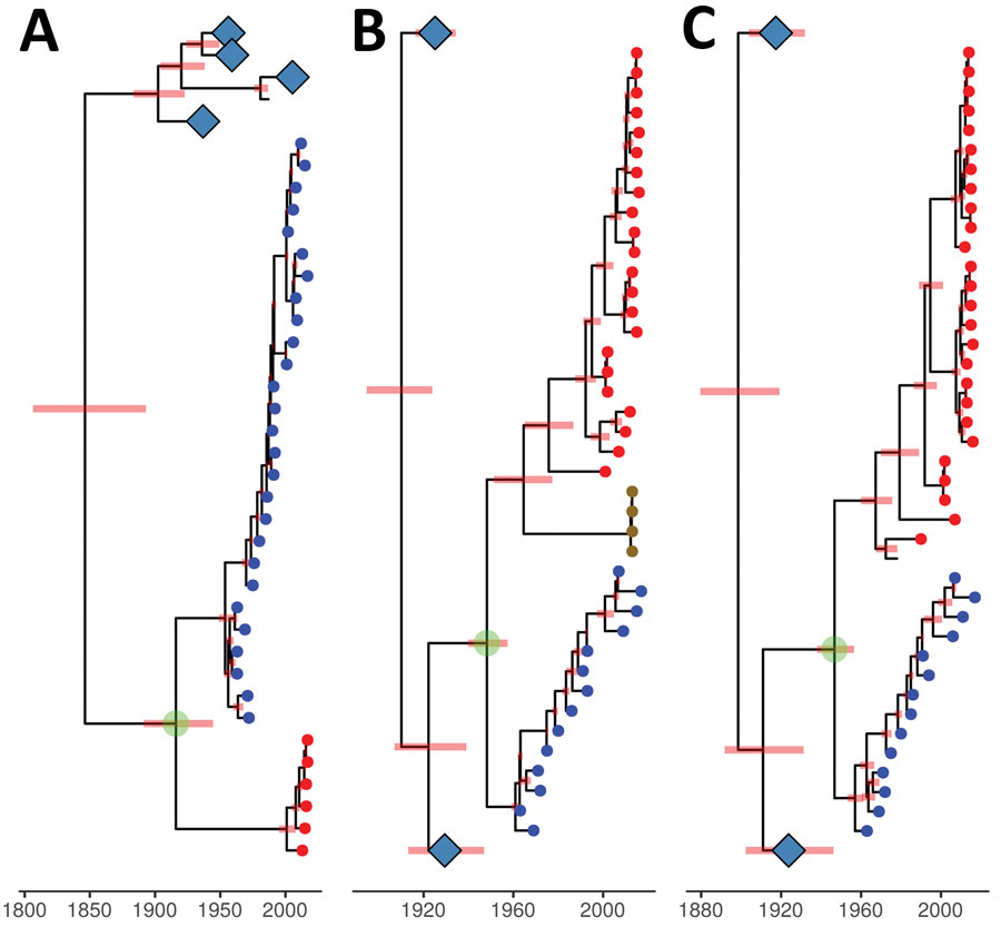 Genetic relationship and divergence date between avian influenza viruses (AIVs) from Chile/South America, the 1963 H3N8 equine-like influenza virus (EIV), and AIVs from other locations. A) Maximum clade credibility tree for the H3 gene segment. B) Maximum clade credibility tree for the polymerase acidic gene segment. AIV samples for penguins from Antarctica are represented by gold circular nodes. C) Maximum clade credibility tree for the nucleoprotein gene segment. Viruses were dated by using Bayesian Markov chain Monte Carlo analysis. Position of tips represent sampled virus for the years they were sampled. H3N8 EIV sequences are represented by blue circular nodes, AIVs from Chile/South America are represented by red circular nodes, and avian sequences from other locations are unlabeled. Internal nodes are reconstructed common ancestors, and pink bars represent 95% credible intervals on their date. Large clades of avian sequences from other locations are collapsed on their common ancestors and represented by light blue diamonds. The common ancestor between most AIVs from South America and the 1963 H3N8 EIV is highlighted by a green circle. Time scale bar indicates years. . 