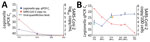 Timeline of detection of SARS-CoV-2 and Legionella in patient 1, a 71-year-old man receiving chemotherapy for multiple myeloma, France, March 2020. A) Serum Legionella DNA load estimated by qPCR Ct and SARS-CoV-2 RNA load expressed as the number of log10 RNA copies/mL serum. B) Pulmonary Legionella DNA load estimated by qPCR Ct, targeting the 16sRNA gene (R-DiaLeg, Diagenode, https://www.diagenode.com) and SARS-CoV-2 RNA load (Institut Pasteur, Paris protocol). Arrows indicate dates of computed tomography scans, green triangles indicates dates of positive Legionella cultures, and orange circle indicates date of lung microbiome testing. Values are normalized according to cellular quantification using the CELL Control r-gene kit (bioMérieux, https://www.biomerieux.com) and expressed as the number of log10 RNA copies/100 cells from pulmonary TA and BAL. BAL, broncho-alveolar lavage; Ct, cycle threshold; D, days after onset of symptoms; qPCR, quantitative PCR; SARS-CoV-2, severe acute respiratory syndrome coronavirus 2; TA, tracheal aspirations. 