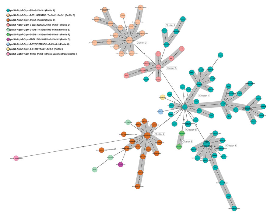 Minimum spanning tree of 123 Bordetella pertussis isolates and their clusters by genetic profile based on core-genome multilocus sequence typing in a B. pertussis isolate–based surveillance study, Austria, May 2018–May 2020. Numbers on connection lines represent the number of allelic differences among the isolates.