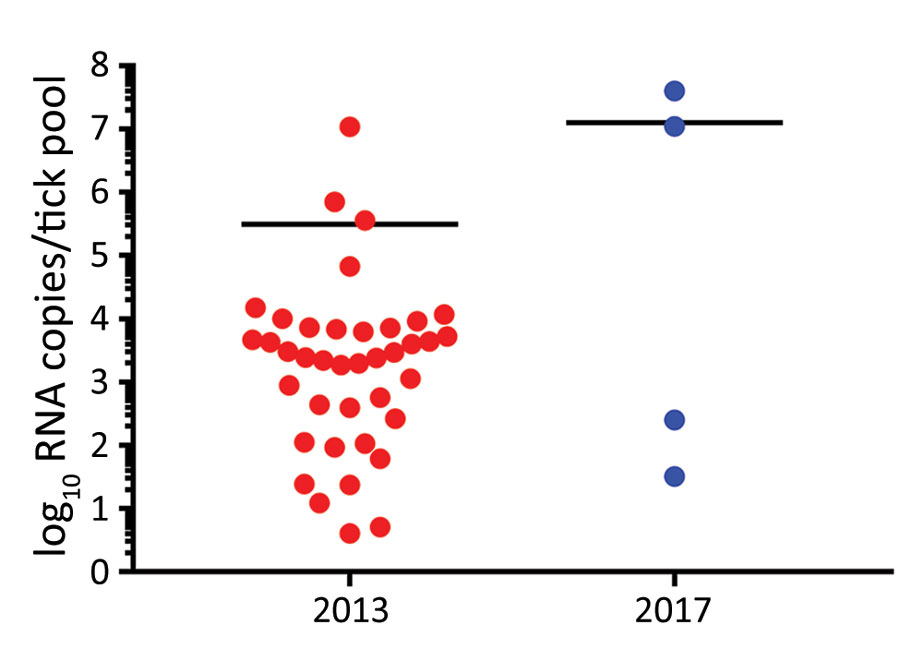 Kasokero virus RNA loads in Ornithodoros (Reticulinasus) faini tick pools from Rousettus aegyptiacus bats, western Uganda, 2013 and 2017. Black horizontal bars represent mean viral loads.