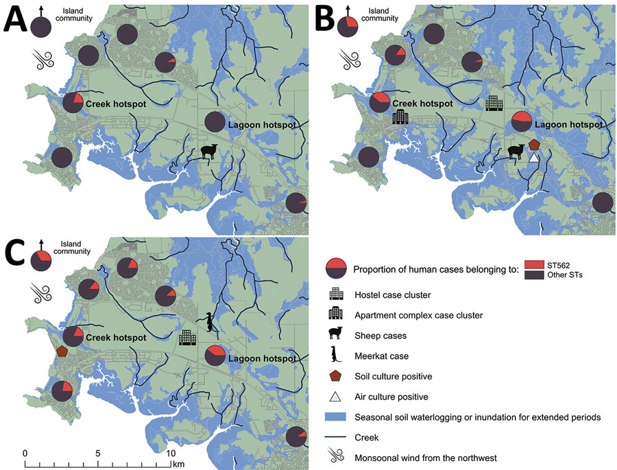 Proportion of melioidosis cases in humans caused by Burkholderia pseudomallei ST562, Darwin, Australia, 2004–2019. A) During October 2004–September 2009. B) During October 2009–September 2014. C) During October 2014–September 2019. ST, sequence type.