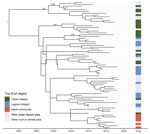 Maximum clade credibility tree of Burkholderia pseudomallei sequence type 562 isolates from northern Australia, 2004–2019. Labels indicate nodes with posterior support >0.8.