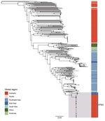 Maximum-likelihood global phylogeny of Burkholderia pseudomallei sequence type 562 isolates from northern Australia, 2004–2019, and genomes available in public sources (Appendix 1 Table). Strain MSHR5619 (GenBank accession no. ERR298346), which had the most divergent genome, was used as the outgroup. Black circles indicate nodes with approximate likelihood ratio >95 and ultrafast bootstrap >95. Colors indicate geographic origin of samples. Scale bar indicates substitutions per site. ST, sequence type.