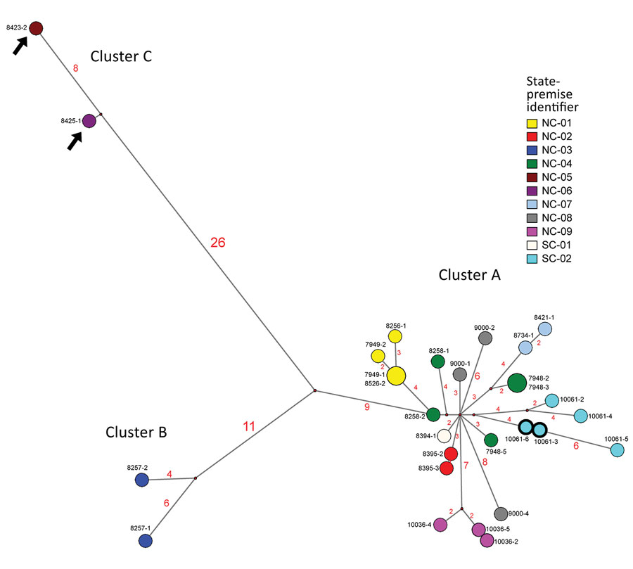 Figure 2 Highly Pathogenic Avian Influenza A H7N3 Virus In Poultry 
