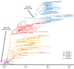 Maximum credibility tree of the 8 concatenated gene segments in highly pathogenic avian influenza H5N8 genotype A viruses, France, 2016–17. Tree generated using SDR06 model according to Bayesian method (38). Branch and leaf color indicates geoclusters. The estimated dates of common ancestors and their 95% CIs are indicated for geocluster 1 and geocluster 5