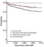 Probability of disease progression to recurrent ARF, hospitalization for rheumatic heart disease, or circulatory death after hospitalization for initial ARF >9,791 days among acute rheumatic fever patients in New Zealand, 1989–2015. ARF, acute rheumatic fever.