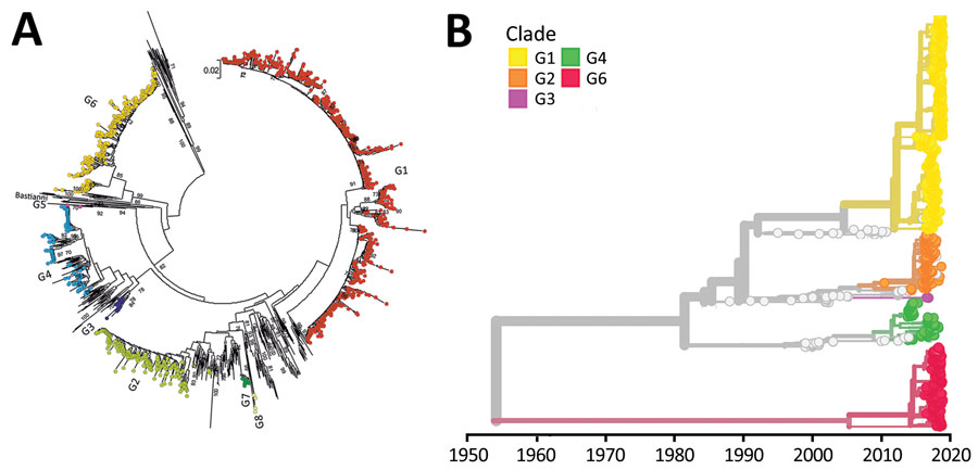 Phylodynamic analysis of region 1 in a curated study of echovirus 30 (E30) viral protein 1 (VP1) sequences from 22 countries in Europe, 2010–2018. We constructed the bootstrapped maximum likelihood neighbor-joining trees using 47 full length sequences and 277 VP1 sequences extracted from GenBank. E30 groups 1–8 are labeled. A) Maximum likelihood trees constructed by using MEGA version 7.0 (https://www.megasoftware.net). Prototype E30 strain Bastianni, (GenBank accession no. AF311938) was used as a reference. Scale bar indicates nucleotide substitutions per site. B) Maximum likelihood trees constructed by using Nextstrain (https://nextstrain.org) from which we dropped several problematic sequences, including group 5. 