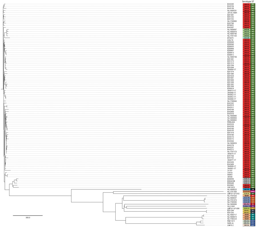 Cluster analysis by core genome multilocus sequence typing of Shiga toxin–producing Escherichia coli strains harboring extraintestinal pathogenic E. coli–associated virulence genes. The analysis also included the RDEx444 strain from France; 2 Shiga toxin–producing E. coli O80:H2 strains negative for the pR444_A plasmid (i.e., ED0867 and ED1301); and the set of 50 E. coli genomes positive either for stx or hlyF genes, downloaded from GenBank or RefSeq (www.ncbi.nlm.nih.gov/RefSeq). Each entry on the phylogenetic tree indicates the strain name, corresponding serotype, and sequence type. Colors indicates serotype and sequence type. Scale bar indicates the number of allelic differences.