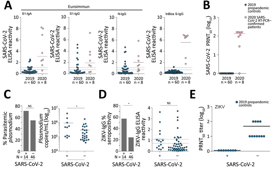 Serologic diagnostics of SARS-CoV-2 and co-existing pathogens in Benin. A) SARS-CoV-2 ELISA reactivity by using different commercially available assays in prepandemic controls from 2019 and SARS-CoV-2 RT-PCR-confirmed patients from 2020. Dashed lines denote the ratio thresholds of >1.1 (positive) and <0.9 (negative); results between these values are considered borderline, as defined by the manufacturers, EUROIMMUN (https://www.euroimmun.com) and InBios (https://inbios.com). Solid line denotes mean ELISA reactivity. B) SARS-CoV-2 PRNT50 in prepandemic controls from 2019 and SARS-CoV-2 RT-PCR–confirmed patients from 2020, shown in log10 scale for clarity. Solid line denotes mean PRNT log10 titer. C) Percentage of prepandemic controls with Plasmodium parasitemia who were SARS-CoV-2 ELISA–positive versus those who were SARS-CoV-2 ELISA-negative, shown in log10 scale for clarity. Solid line denotes the mean copies/mL. Asterisk denotes p<0.05. D) ZIKV ELISA IgG ELISA percent seropositivity and ZIKV ELISA reactivity within SARS-CoV-2–positive and SARS-CoV-2–negative prepandemic controls. Continuous line denotes the mean ELISA reactivity. Asterisk denotes p<0.05. E) ZIKV PRNT50 results. Continuous line denotes the mean PRNT50 log10 reactivity. NS, not statistically significant; PRNT50, 50% plaque reduction neutralization test; SARS-CoV-2, severe acute respiratory syndrome coronavirus 2; ZIKV, Zika virus.