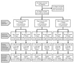 Flowchart of participating villages, humans, and pigs in a study of Taenia solium intervention strategies, Peru. Humans were treated with niclosamide, pigs (when treated) with oxfendazole. MT, mass treatment; RS, ring screening; RT, ring treatment.