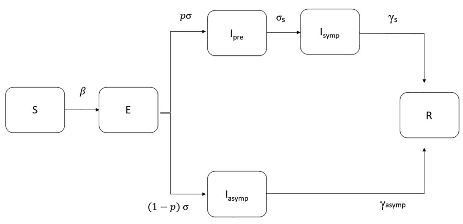 Modified susceptible-exposed-infectious-recovered (SEIR) model used to estimate the course of the first epidemic wave of coronavirus disease, Greece. Cases are classified into susceptible (S), exposed (E), infectious (I, which is divided into 3 conditions: Ipre, before developing symptoms, Isymp for clinically ill, or Iasymp for true asymptomatic), and recovered (R). We assumed that a proportion (p) of exposed cases will develop symptoms and that infectiousness can occur before the onset of symptoms. β is the rate at which persons become infected and move to E; exposed individuals become infectious at a rate σ and presymptomatic infectious cases develop symptoms at a rate σs; γasymp is the rate of recovery for asymptomatic persons; γs is the rate of recovery for symptomatic persons. 