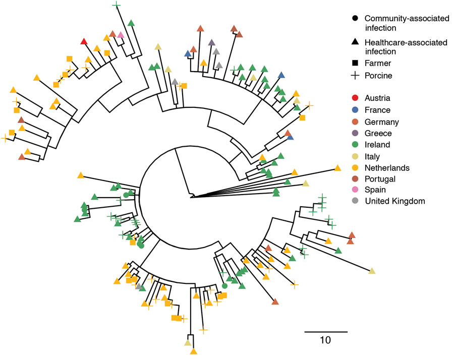 Recombination-adjusted maximum-likelihood phylogenetic tree of sequences from human and porcine Clostridioides difficile isolates from Ireland and 9 other countries in Europe. Isolates are shown as triangles for healthcare-associated C. difficile cases and circles for community-associated C. difficile cases. Isolates from pigs are shown as crosses and those from farmers as squares. The color at each tip indicates the country of origin of the isolate. The tree was based on 4,861 variable sites before correction for recombination, based on a median (interquartile ranges) of 93.4% (93.0%–93.8%) and (83.1%–96.2%) of the reference genome being called. Scale bar indicates single-nucleotide polymorphisms.