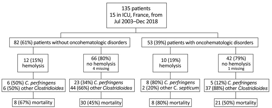 Flowchart of the repartition of Clostridioides bacteremia in patients in France according to the presence or absence of hemolysis. Hemolysis was associated with a high mortality rate.