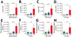 Host immune responses to LD and HD Bordetella pertussis inoculation. C57/Bl6 mice received LD of 500 CFU of B. pertussis in 5 µL phosphate-buffered saline (PBS) via nasopharyngeal inoculation or HD of 500,000 of B. pertussis CFU in 50 µL PBS via pneumonic inoculation. Naive control mice were inoculated with 50 µL of PBS. The study was conducted twice. A–D) Enumeration of immune cells in the lungs 14 days postinoculation. E–H) Enumeration of immune cells from nasopharyngeal washes. Error bars indicate SD for 4 biologic replicates HD, high-dose–high volume; LD, low-dose–low-volume; ns, no statistical significance.