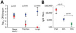 Risk for Bordetella pertussis reinfection after experimental nasopharyngeal infection of mice. C57Bl/6J mice were inoculated intranasally with 500 CFU of B. pertussis in 5 µL PBS for nasopharyngeal inoculations (blue squares) or 500,000 CFU in 50 µL for the pneumonic inoculations (red squares). The study was conducted twice. Values are the SD of 4 biologic replicates. A) Number of B. pertussis bacteria in respiratory organs on day 7 after pneumonic challenge. B) B. pertussis IgG titers (log scale) in the serum of mice challenged via PNC or NPL inoculation. Green represents naive mice inoculated with PBS. NPL, nasopharyngeal; PBS, phosphate-buffered saline; PNC, pneumonic.