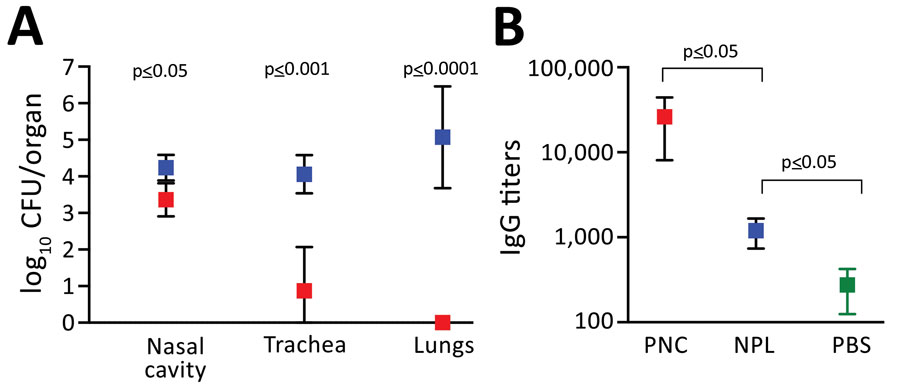 Risk for Bordetella pertussis reinfection after experimental nasopharyngeal infection of mice. C57Bl/6J mice were inoculated intranasally with 500 CFU of B. pertussis in 5 µL PBS for nasopharyngeal inoculations (blue squares) or 500,000 CFU in 50 µL for the pneumonic inoculations (red squares). The study was conducted twice. Values are the SD of 4 biologic replicates. A) Number of B. pertussis bacteria in respiratory organs on day 7 after pneumonic challenge. B) B. pertussis IgG titers (log scale) in the serum of mice challenged via PNC or NPL inoculation. Green represents naive mice inoculated with PBS. NPL, nasopharyngeal; PBS, phosphate-buffered saline; PNC, pneumonic.