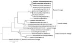 Phylogenetic tree of Puumala virus using S segment nucleotide sequences. Bold text indicates sequences isolated from family in Switzerland. GenBank accession numbers are provided in brackets. Lineages are indicated at right. Scale bar indicates number of substitutions per site.