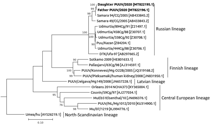 Phylogenetic tree of Puumala virus using S segment nucleotide sequences. Bold text indicates sequences isolated from family in Switzerland. GenBank accession numbers are provided in brackets. Lineages are indicated at right. Scale bar indicates number of substitutions per site.