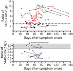 Distribution of SARS-CoV-2 IgG in 78 potential convalescent-plasma donors with PCR-confirmed infection, Germany. Red dots represent study participants with antibody ratio >3; black dots, participants with a ratio of 1.1–3; blue dots, participants with ratio <1.1. Sequential data are connected. Horizontal dashed line indicates a ratio of 3. A) Antibody ratios in the positive or intermediate range. B) Antibody ratios in the borderline or negative range. Gray shading indicates borderline values (ratio of 0.8–1.1); scale is adjusted to enhance data visualization. SARS-CoV-2, severe acute respiratory syndrome coronavirus 2.