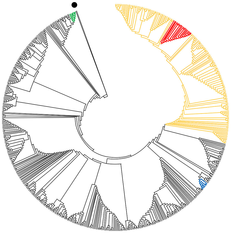 Phylogenetic tree showing relationships between genome sequences of severe acute respiratory syndrome coronavirus 2 from mink and humans at 3 mink farms in Denmark, June–July 2020 (red), and selected global full-length genome sequences. Black dot indicates Wuhan reference sequence NC_045512.2; green indicates mink farm NB02 in the Netherlands; blue indicates mink farms NB01, NB03, and NB04 in the Netherlands; orange indicates clade 20B.