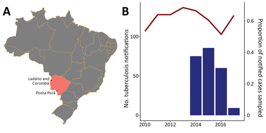 Tuberculosis case notifications in border cities in Mato Grosso do Sul state, Brazil. A) Location of Mato Grosso do Sul state (pink); dots indicate the 3 largest border cities, Ponta Porã, Corumbá, and Ladário, which is surrounded by Corumbá. B) Tuberculosis notifications in the 3 border cities reported in the state tuberculosis registry, SINAN, from 2010–2018 (red line), and the proportion of yearly notified cases sampled (blue bars) in this study, January 2014–April 2017.