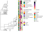 Unrooted maximum-likelihood phylogeny of 132 Mycobacterium tuberculosis isolates from Central West Brazil, 2014–2017, inferred from a multiple alignment of 6,590 single-nucleotide polymorphisms. From left, columns are colored by patient’s incarceration history, drug-resistance status, city, predicted transmission cluster, and recent travel history. Incarceration history is defined by responses to the study questionnaire and incarceration information in the tuberculosis registry; community includes patients who have not been incarcerated at the time of tuberculosis notification; contact indicates any reported contact with incarcerated persons; formerly incarcerated includes patients who report incarceration prior to their tuberculosis notification; and incarcerated at diagnosis includes patients notified at time of incarceration. Transmission cluster membership is shown for clusters with >4 isolates; all other isolates are labeled as unclustered. Scale bar indicates substitutions per site.