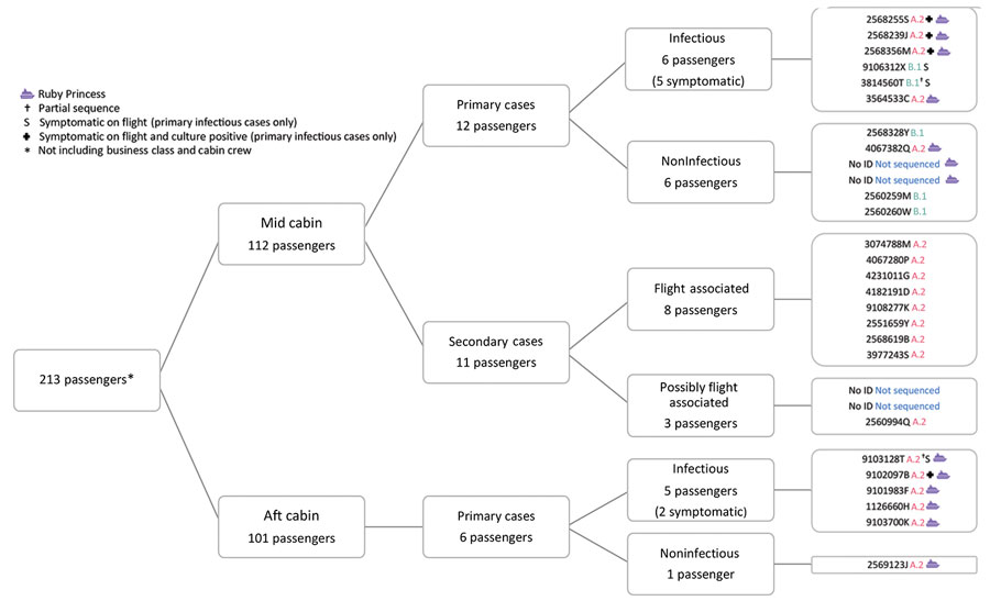 Distribution of SARS-CoV-2 infection cases among passengers on a flight from Sydney to Perth, Australia, on March 19, 2020. Far right column shows passenger identification numbers and SARS-CoV-2 lineage determined by whole-genome sequencing (A.2, B.1, not determined). 