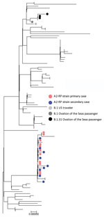 Phylogenetic tree generated in MEGA version 7.0.14 (8) for all SARS-CoV-2 whole-genome sequences with >80% genome coverage. Colors indicate samples from 458 persons with cases linked to cluster on flight from Sydney to Perth, Australia, on March 19, 2020. Scale bar indicates nucleotide substitutions per site.