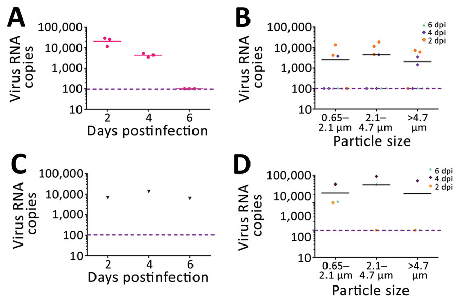 Viral RNA copies and size distribution of severe acute respiratory syndrome coronavirus 2 aerosols shed by experimentally infected cynomolgus monkeys. A) Viral RNA copies in aerosols directly expelled during 40 minutes of breathing. B) Size distribution of virus aerosols directly expelled during 40 minutes of breathing. C) Viral RNA copies in aerosols from the housing isolator during 30 minutes of sampling. D) Size distribution of virus aerosols in the isolator during 30 minutes of sampling. dpi, days postinfection. The pink dotted line indicates the limit of detection.