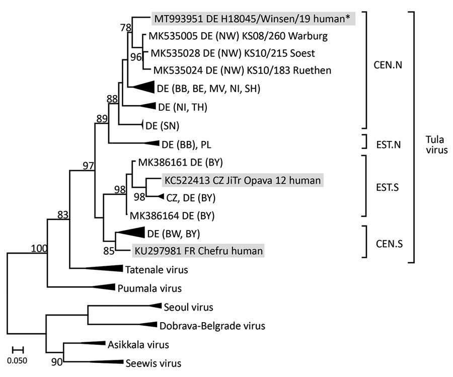 Maximum-likelihood tree of TULV from an immunocompetent patient in Germany (strain H18045/Winsen/19, marked with an asterisk [*]). Tree is based on partial large segment sequences (nucleotide position 2996–3291, according to TULV strain Moravia [GenBank accession no. NC_005226.1]). Designations of patient-derived sequences are shaded in gray. The alignment was constructed using the ClustalW Multiple Alignment algorithm implemented in Bioedit 7.2.3 (https://bioedit.software.informer.com). Maximum-likelihood analyses with 1,000 bootstraps and 50% cutoff using the general time-reversible substitution model with invariant sites and a gamma-distributed shape parameter was performed using FastTreeMP 2.1.10 (http://www.microbesonline.org) on CIPRES Science Gateway 3.3 (http://www.phylo.org). Bootstrap values >75 are given at the supported nodes. Geographic origin of TULV sequences are indicated by countries (Germany, DE; Czech Republic, CZ; France, FR; Poland, PL) and specified for Germany by adding the federal states (BE, Berlin; BB, Brandenburg; BW, Baden-Wuerttemberg, BY, Bavaria; MV, Mecklenburg-Western Pomerania, NI, Lower Saxony; NW, North Rhine-Westphalia; SH, Schleswig-Holstein; SN, Saxony; and TH, Thuringia). Triangles indicate condensed branches of TULV clades central north (CEN.N; DE: BB, GenBank accession nos. MK53017, MK53034, MK53036; BE, MK53003; MV, MK53004, MK53022; NI, MK53011, MK53032; SH, MK53033; SN HQ728453, HQ728454; TH, HQ728456, HQ728461, MK53007), eastern north (EST.N; PL: MK535037; DE: BB, MK535014–MK535015), eastern south (EST.S; CZ: MK386155–MK386156; DE: BY, MK386154, MK386161, MK386164), and central south (CEN.S; DE: BW, HQ728457, HQ728458; BY, HQ728462–HQ728464, HQ728466), as well as Puumala virus (KJ994778, MN026167, MN026168), Tatenale virus including its strain Traemmersee virus (MK542664, MK883760, MK883761, MN267824), Dobrava–Belgrade virus (JQ026206, KJ182937, KJ182938), Asikkala virus (KC880348, KC880349), Seewis virus (JQ425312, JQ425320), and Seoul virus (MG386252, KJ502300, KJ502303).