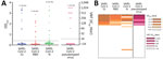 Serologic analyses of cat and dog serum samples from SARS-CoV-2–exposed cohort, the Netherlands. A) ELISA against SARS-CoV-2 S1, RBD, and N proteins, and VN analysis with SARS-CoV-2 pseudotyped virus. Dots indicate cat serum samples (n = 44) and triangle indicates dog sample (n = 1). B) Combination of results tested by different assays expressed as a heatmap. Dotted lines indicate positive cutoff levels. IC50, 50% inhibitory concentration; N, nucleocapsid; OD, optical density; RBD, receptor-binding domain; S1, spike protein subunit 1; SARS-CoV-2, severe acute respiratory syndrome coronavirus 2; VN, virus neutralization.