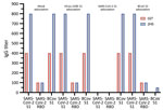 Corroboration of SARS-CoV-2 seropositivity in dog samples with adsorption assays, the Netherlands. ELISA reactivities of the 2 positive dog samples were determined against SARS-CoV-2 S1, RBD, and BCoV S1 after mock adsorption or adsorption with HCoV-229E S1, SARS-CoV-2 S1, or BCoV S1 proteins. The 2 seropositive dog samples (027 and 2H5) are from the SARS-CoV-2–exposed cohort and 2020 cohort, respectively BCoV, bovine coronavirus; HCoV, human coronavirus; RBD, receptor-binding domain; S1, spike protein subunit 1; SARS-CoV-2, severe acute respiratory syndrome coronavirus 2.