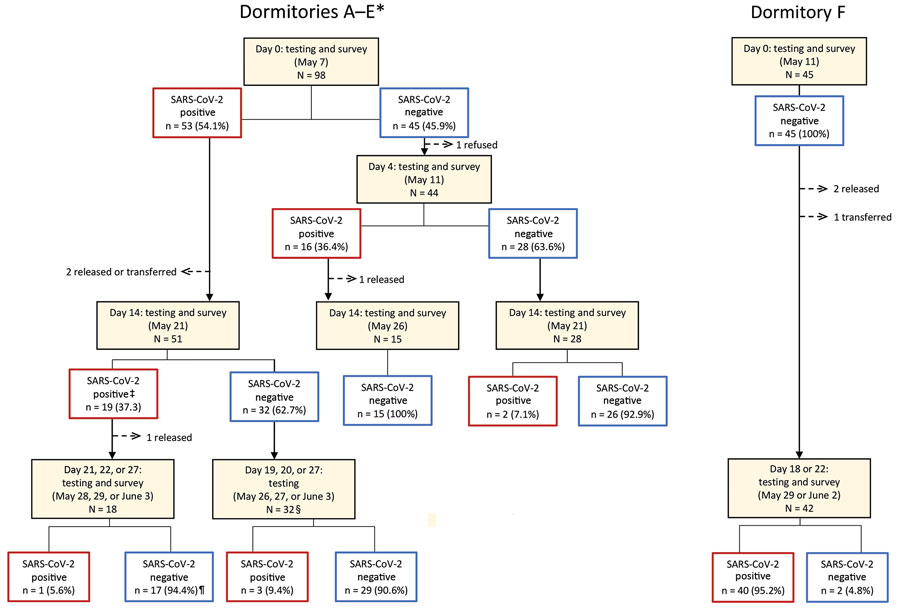 Rapid transmission of SARS-CoV-2 in detention facility, Louisiana, USA, May–June 2020. Enrollment and follow-up at each timepoint for detained persons (n = 143) in dormitories A–E and F. The sequence of testing for all enrolled dormitories is shown, along with the number of persons who were positive or negative for SARS-CoV-2 by real-time reverse transcription PCR and percentage of total at each timepoint. Red boxes indicate SARS-CoV-2 positive, and blue boxes indicate SARS-CoV-2 negative. *The first positive test result for SARS-CoV-2 among persons detained occurred on the following dates in each dormitory: April 7 in A, April 9 in B and C, April 17 in D, and April 23 in E. Introduction in dormitory F likely occurred between May 11 and May 29. †One inconclusive result was considered negative; ‡One inconclusive result was considered positive. §16 persons were tested on May 26 only, 14 on May 27 only, and 2 on May 26 and June 3. ¶10 persons were tested on May 28 only, 1 on May 29 only, 1 on June 3 only, and 6 on May 28 and June 3. SARS-CoV-2, severe acute respiratory syndrome coronavirus 2.