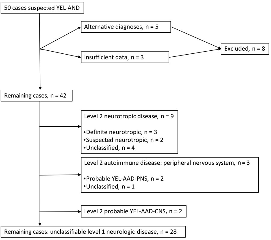 Classification of cases of yellow fever vaccine–associated neurologic disease with Centers for Disease Control and Prevention criteria, São Paulo, Brazil, 2017–2018. YEL-AAD-PNS, autoimmune disease with peripheral nervous system involvement; YEL-AAD-CNS, autoimmune disease with central nervous system involvement; YEL-AND, yellow fever vaccine-associated neurologic disease.