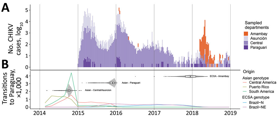 Chikungunya virus (CHIKV) outbreaks in Paraguay during 2014–2018 and the spatial–temporal history of virus diffusion. A) Total number of cases of CHIKV infection reported by epidemiologic week in the departments from which genome sequences were available. B) Location transitions to Paraguay inferred from the posterior distribution of phylogenetic trees by the Markov jump approach, and the time to most recent common ancestor for the CHIKV clusters detected in the country. Lines are colored according to the origin of the estimated transition toward Paraguay. Violin plots show 95% CIs with internal boxplots showing median and interquartile ranges. Brazil-N, Brazil North Region; Brazil-NE, Brazil Northeast Region; ECSA, East/Central/South African genotype.
