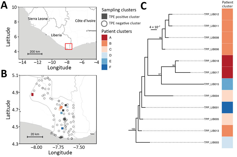 Spatial and phylogenetic distribution of 12 whole genome TPE sequences isolated from serologically confirmed yaws cases in Maryland County, Liberia. Genomes are extremely closely related but show evidence of geographical separation. A) Regional map with study area highlighted in red. B) Maryland County, indicating sampling location of Treponema genome (colored by survey cluster). C) Maximum-likelihood whole genome phylogeny of Liberia genomes, scaled by substitutions per site, showing phylogenetic relationships of patient samples. Ultra-fast bootstrap values >95% are indicated on the tree. Map tiles by Stamen Design (CC-BY 3.0), map data by OpenStreetMap (ODbl). TPE, Treponema pallidum subspecies pertenue.