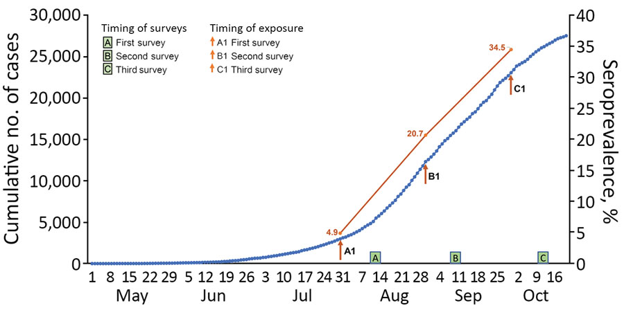 Prevalence of severe acute respiratory syndrome coronavirus 2 infection in 3 surveys in Puducherry district, India, 2020. Arrows indicate the timepoint 2 weeks before the midpoint of each of 3 surveillance periods.  