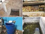 Anopheles stephensi breeding sites, Djibouti, Republic of Djibouti, 2019. A) Manhole. B) Ditch. C) Plastic drum. D) Water tank.